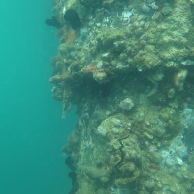 Img 0290